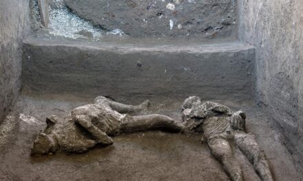 Descubren en Pompeya los cuerpos de dos hombres que escapaban de la erupción del Vesubio