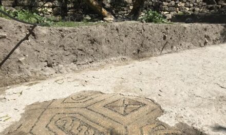 Descubren en Jaén un gran mosaico en una villa romana del siglo I