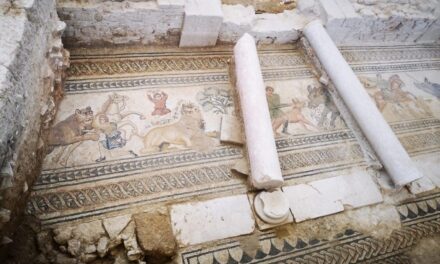 Los trabajos de investigación en la villa romana de Salar optan al Premio Nacional de Arqueología