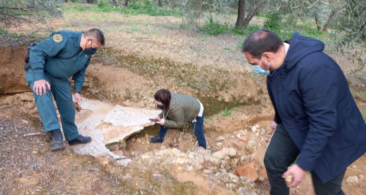 Un agricultor descubre un gran mosaico romano en mitad de un olivar