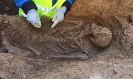 Aparece un esqueleto romano de hace 1.500 años junto a la catedral de Barcelona