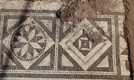 Aparecen en las excavaciones de Pompeya mosaicos perfectamente conservados