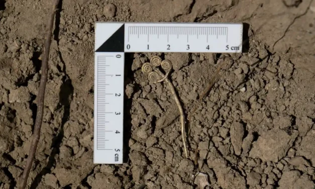 Descubren un broche de oro de 4.500 años en Troya: solo hay 3 de este tipo en el mundo