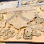 Hallan en Alicante decoraciones sin precedentes en el Imperio Romano