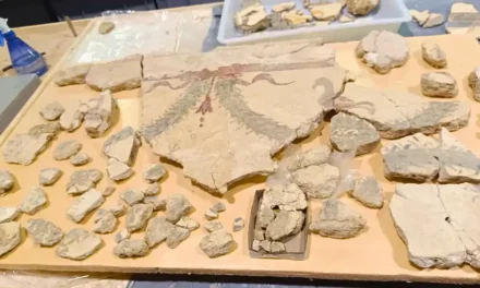 Hallan en Alicante decoraciones sin precedentes en el Imperio Romano