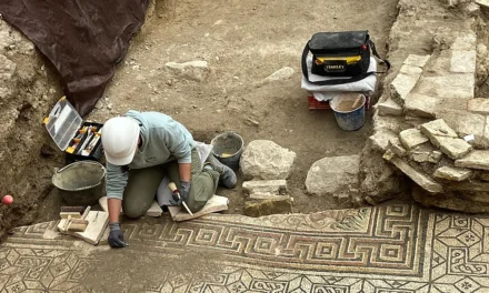 Descubren un nuevo mosaico romano en las obras del Ayuntamiento de Écija
