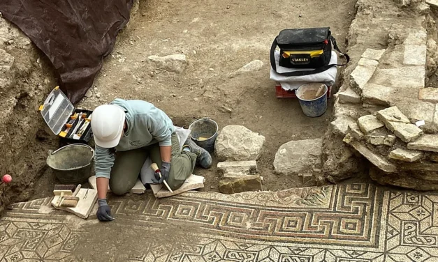 Descubren un nuevo mosaico romano en las obras del Ayuntamiento de Écija